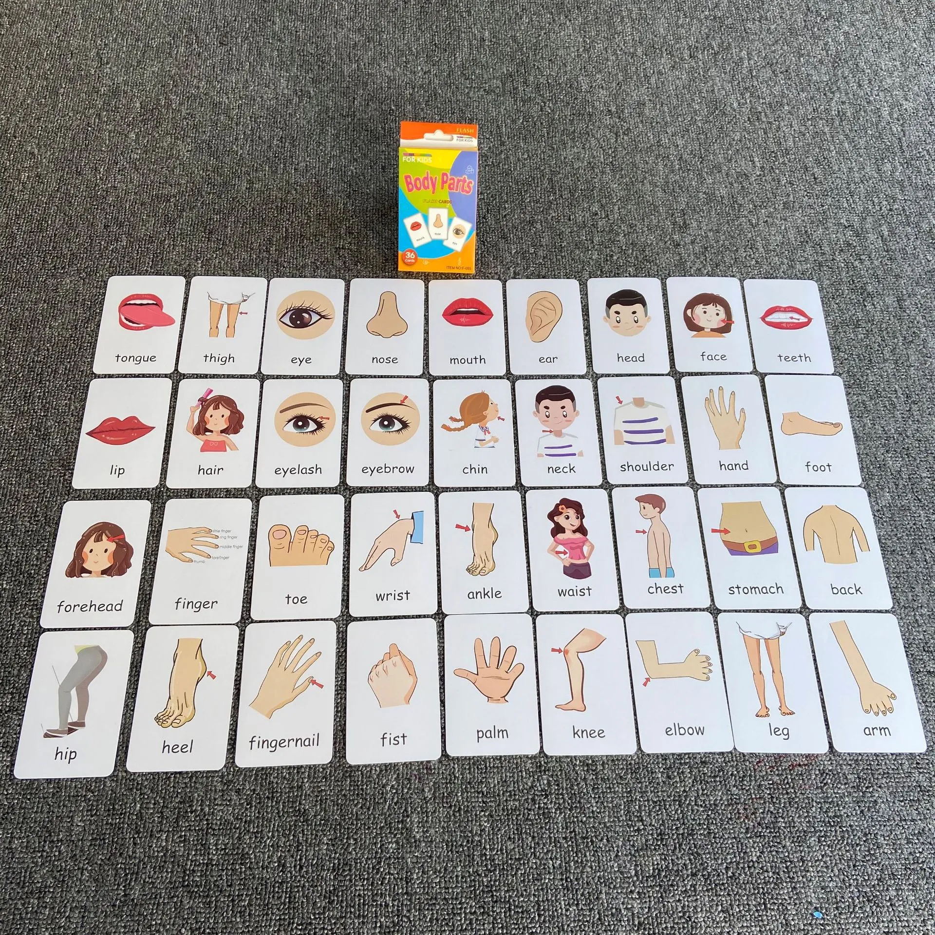 Early Baby Children's Education Flash Cards English Word Recognition Cards Color Visual Flash Cards Teaching Tools