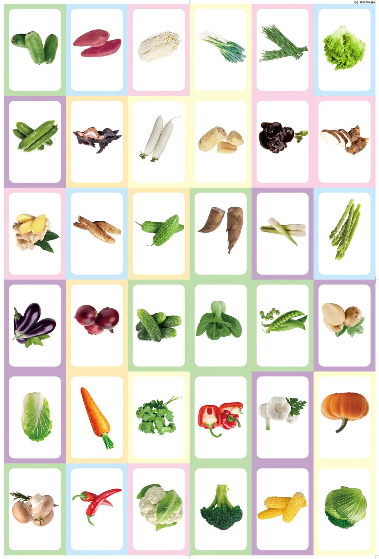 36pcs Children Cognition Cards Body Parts Animal Fruits Double Side Flashcards Montessori Baby Kids Early Educational Toys Gifts