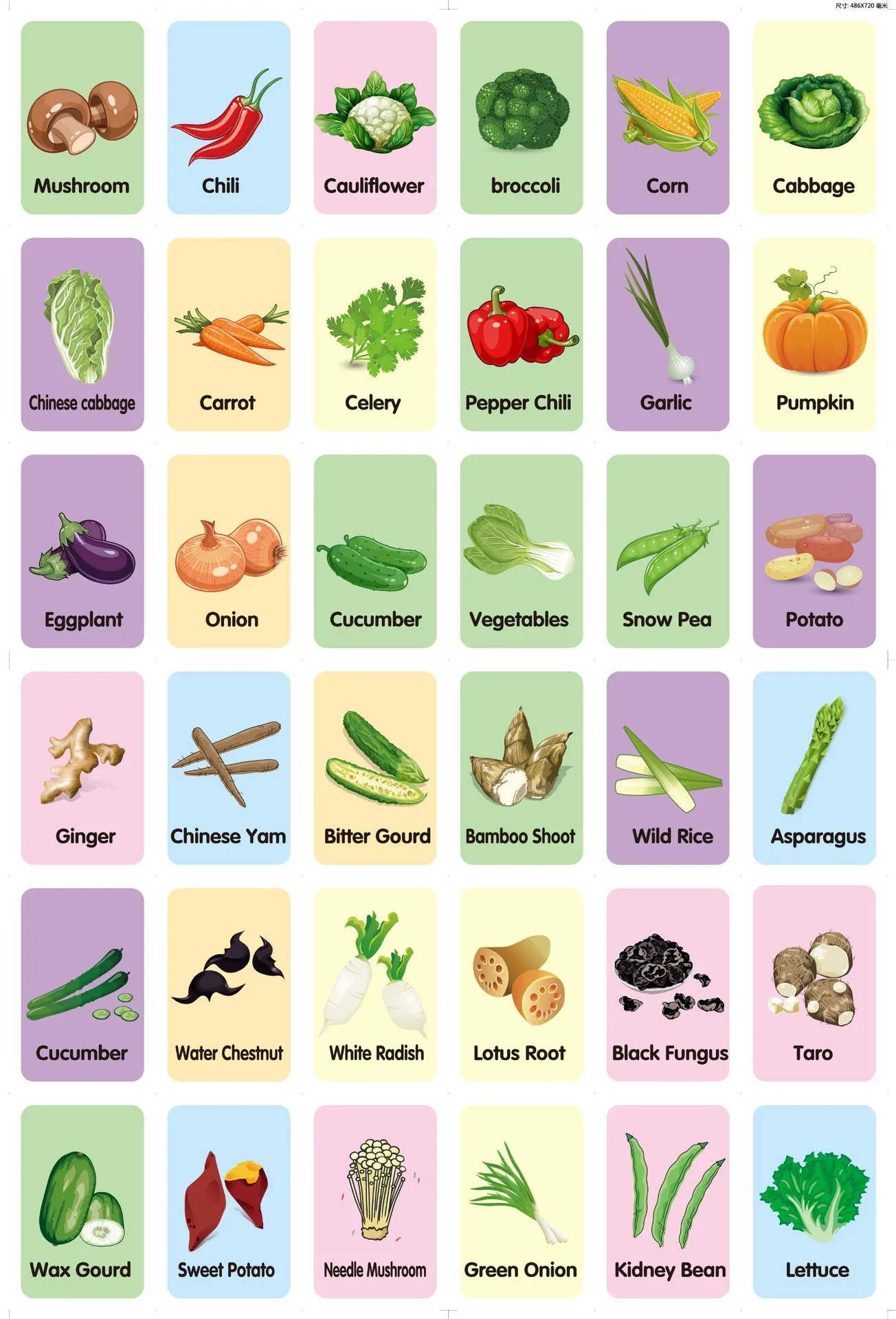 36pcs Children Cognition Cards Body Parts Animal Fruits Double Side Flashcards Montessori Baby Kids Early Educational Toys Gifts