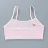 Cartoon Summer Young Children's Breast Care Bras Developmental Girls Training Bra Puberty Students Kids Vest Teenage Underwears