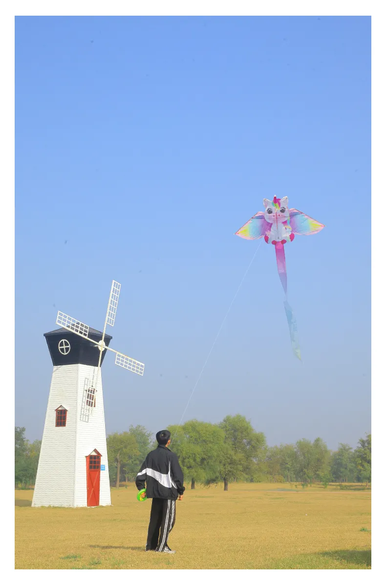 Yongjian Pink Unicorn Kite small kite suitable for children or beginners, easy to fly With 50m kite string