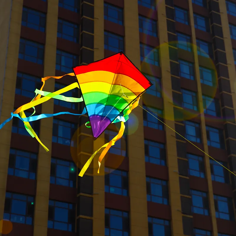 YongJian Colorful Rainbow Kite Long Tail Diamond kite for Beginners outdoor toys kids birthday gift Beach Kite Outdoor Fun Sport