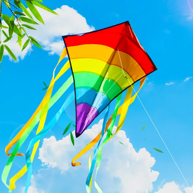 YongJian Colorful Rainbow Kite Long Tail Diamond kite for Beginners outdoor toys kids birthday gift Beach Kite Outdoor Fun Sport