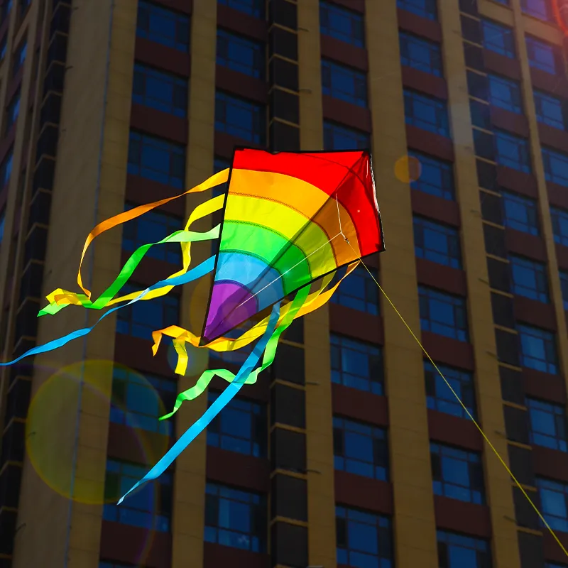 YongJian Colorful Rainbow Kite Long Tail Diamond kite for Beginners outdoor toys kids birthday gift Beach Kite Outdoor Fun Sport