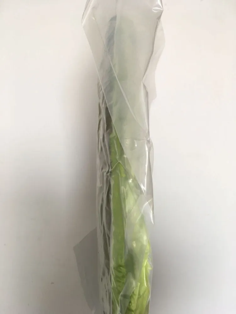 Cute Avocado Throw Pillow Plush doll Toy Decorative Fruit Cushion decor sofa home party Birthday gift funny stuffed fruit doll