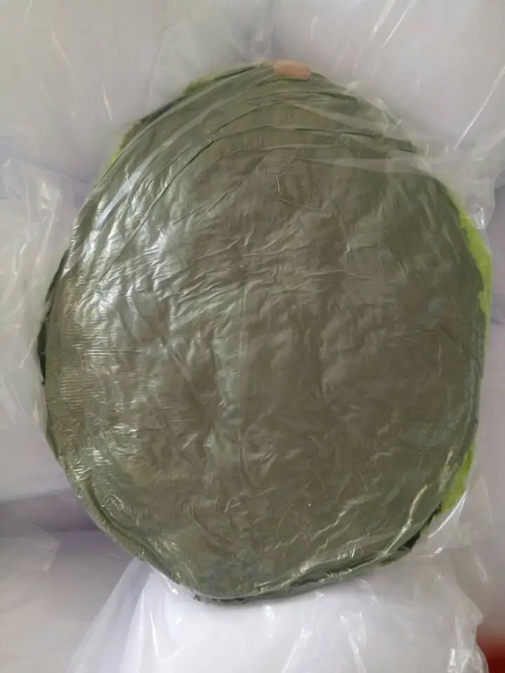 Cute Avocado Throw Pillow Plush doll Toy Decorative Fruit Cushion decor sofa home party Birthday gift funny stuffed fruit doll