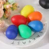 Plastic Percussion Shakers – Musical Toys for Babies & Toddlers