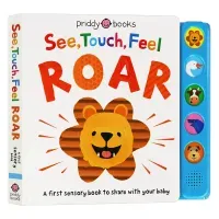 See Touch Feel Roar: Interactive Baby Picture Book