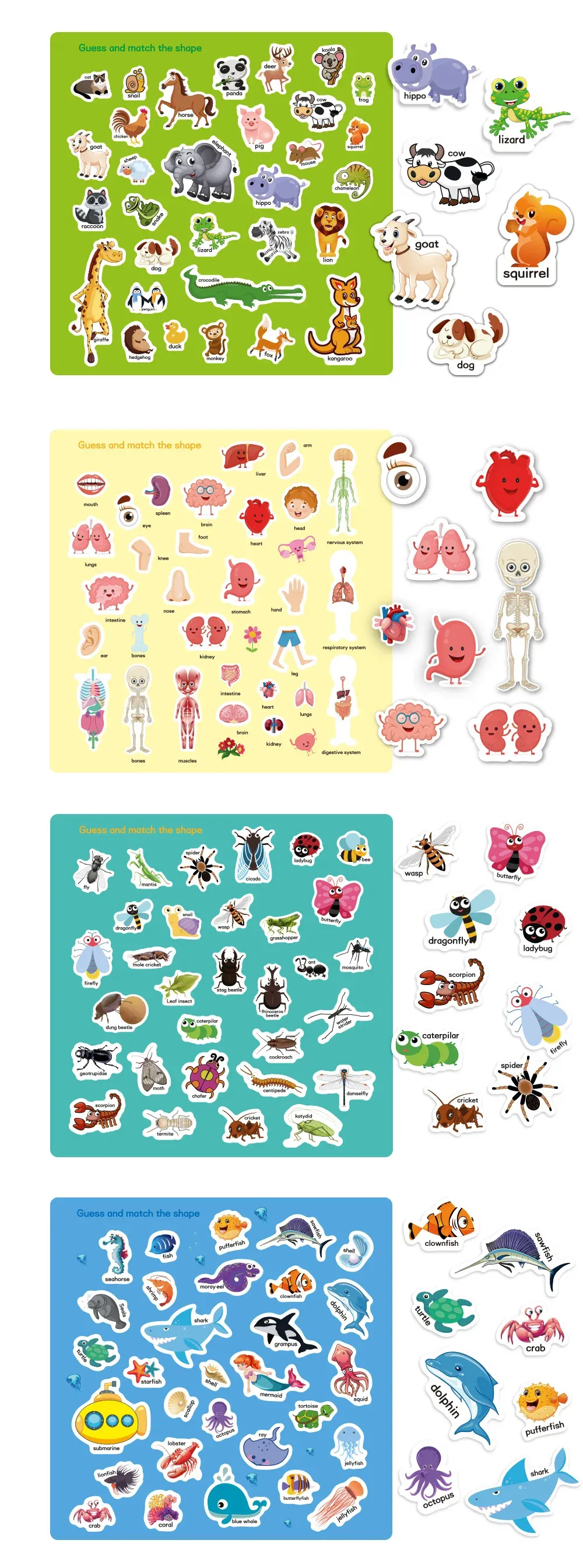 Reusable Jelly Sticker Book for Kids - Early Learning Fun with 2 Sizes & Various Themes