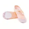 Soft Ballet Shoes – Canvas Dance Slippers for Women & Men
