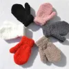 Baby Winter Gloves – Warm Plus Velvet Mittens for Little Hands