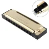 Diatonic Harmonica – 10 Hole Mouth Organ for Beginners