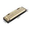 Diatonic Harmonica – 10 Hole Mouth Organ for Beginners