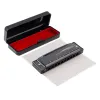 Diatonic Harmonica – 10 Hole Mouth Organ for Beginners