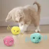 Interactive Cat Toy – Electric Plush Ball with Sound & Catnip