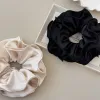 Women's Fashion Hair Accessories – Elastic Bands for Stylish Looks